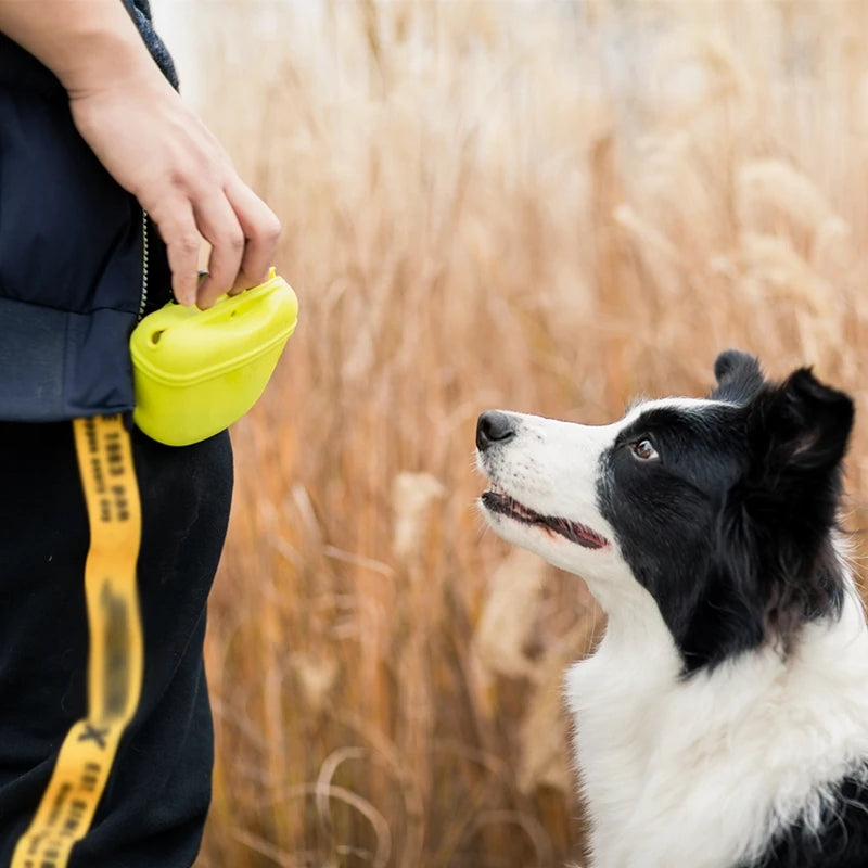 Dog Training Waist Bag with Pockets