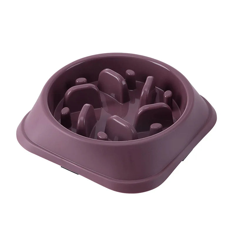 Anti-Choke Slow Feeder Bowl for Cats & Dogs