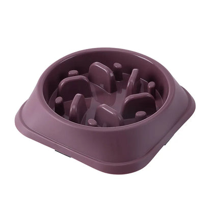 Anti-Choke Slow Feeder Bowl for Cats & Dogs