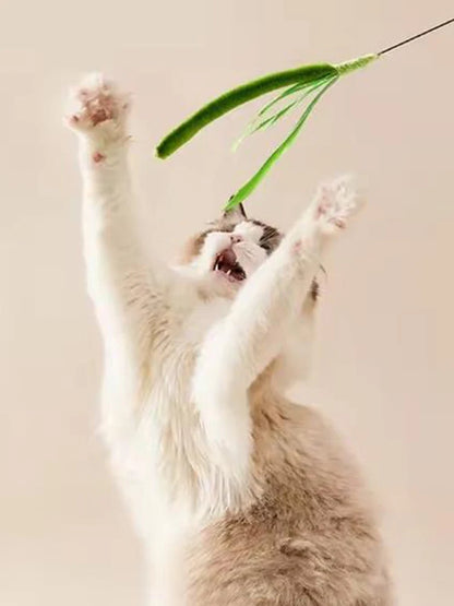 Dogtail Grass Cat Teaser Wand