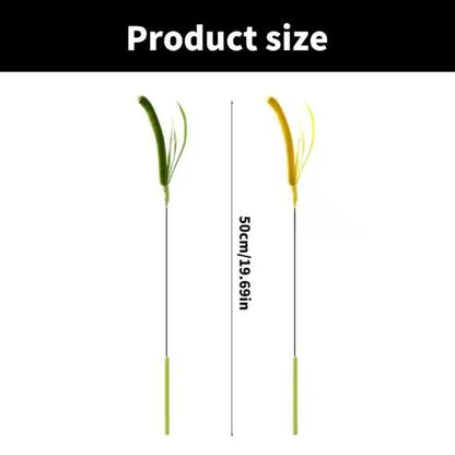 Dogtail Grass Cat Teaser Wand
