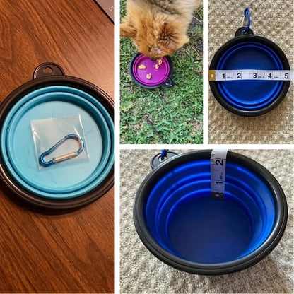 Collapsible Travel Bowl for Dogs & Cats (350ml)