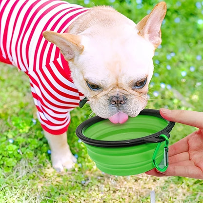 Collapsible Travel Bowl for Dogs & Cats (350ml)