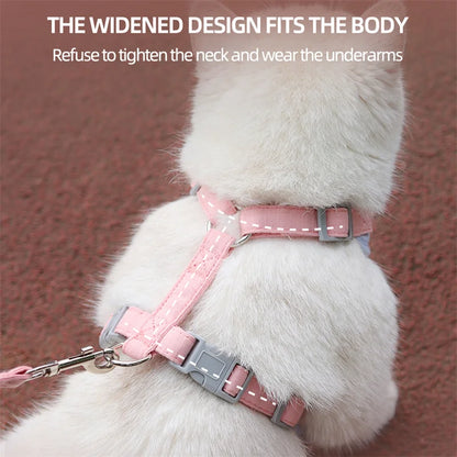 Padded Harness & Leash Set for Cats & Small Dogs