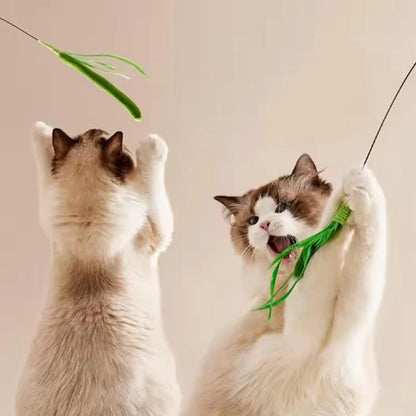 Dogtail Grass Cat Teaser Wand