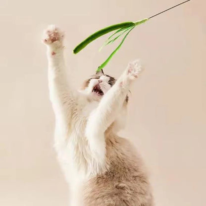 Dogtail Grass Cat Teaser Wand