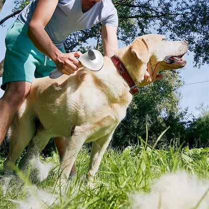 Compact Self-Cleaning Pet Brush