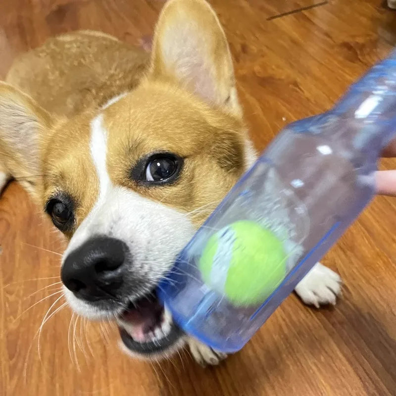 Squeaky Bottle Chew Toy with Tennis Ball