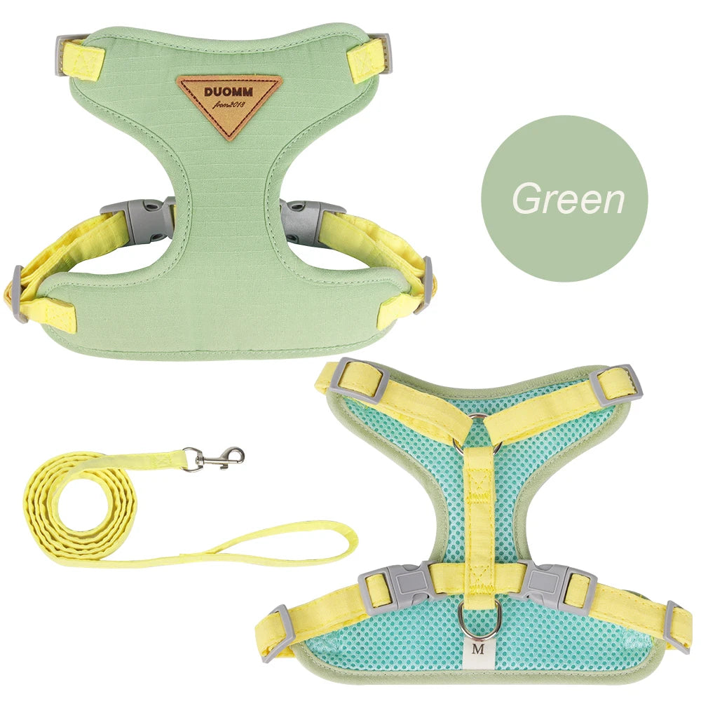 Padded Harness & Leash Set for Cats & Small Dogs