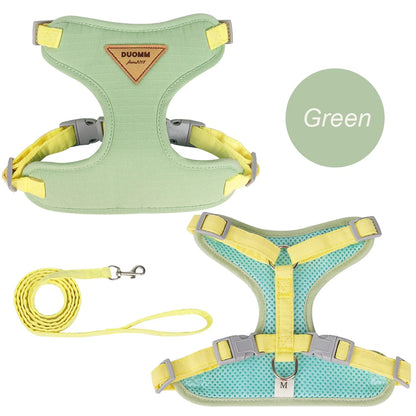 Padded Harness & Leash Set for Cats & Small Dogs