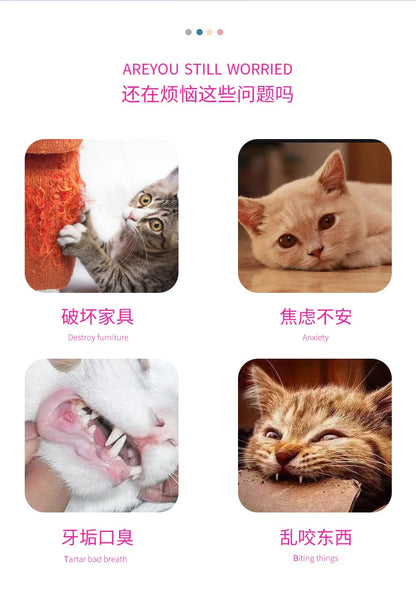Pet Cat Toy String Tubing with Feather Spring Elastic Toy Pet Supplies Cat Toys Interactive Игрушки Для Кошек Feather Toys
