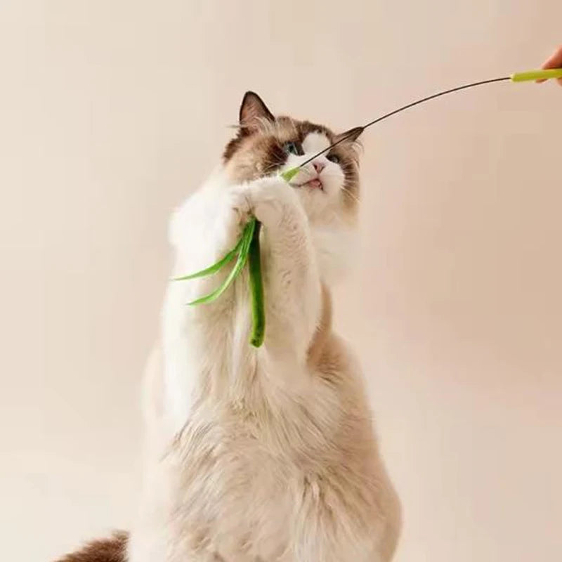 Dogtail Grass Cat Teaser Wand