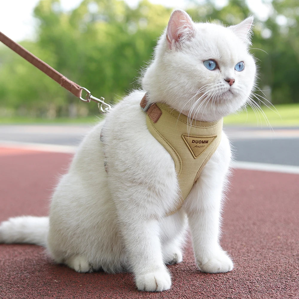 Padded Harness & Leash Set for Cats & Small Dogs