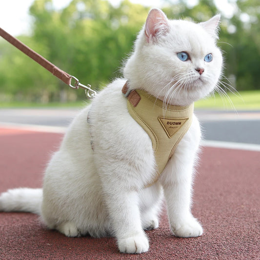 Padded Harness & Leash Set for Cats & Small Dogs