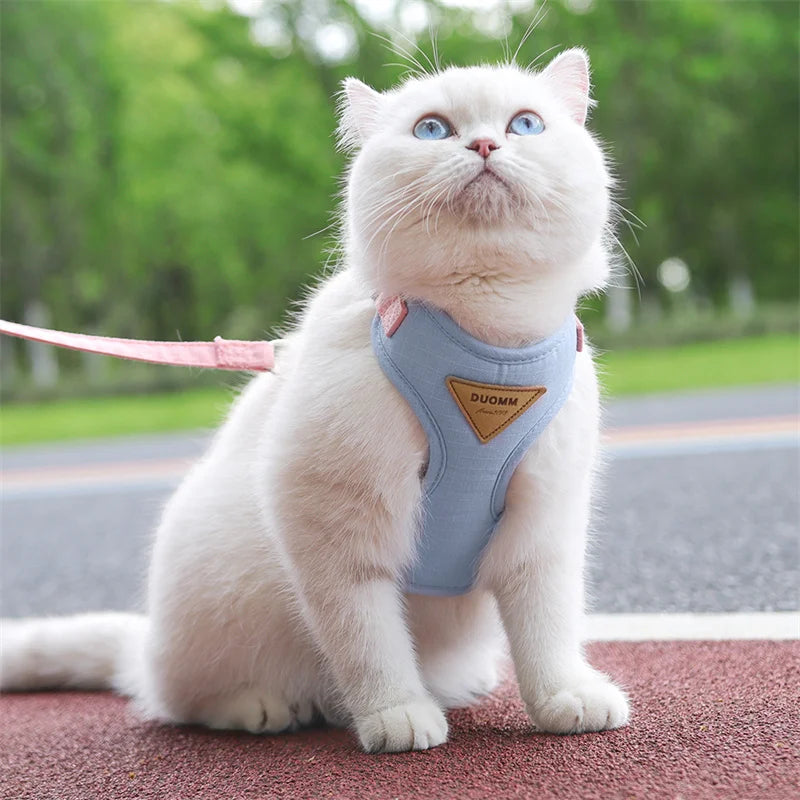 Padded Harness & Leash Set for Cats & Small Dogs