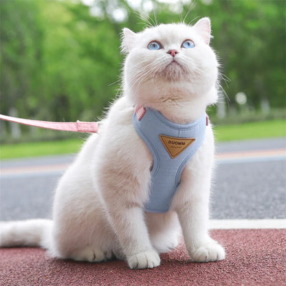 Padded Harness & Leash Set for Cats & Small Dogs