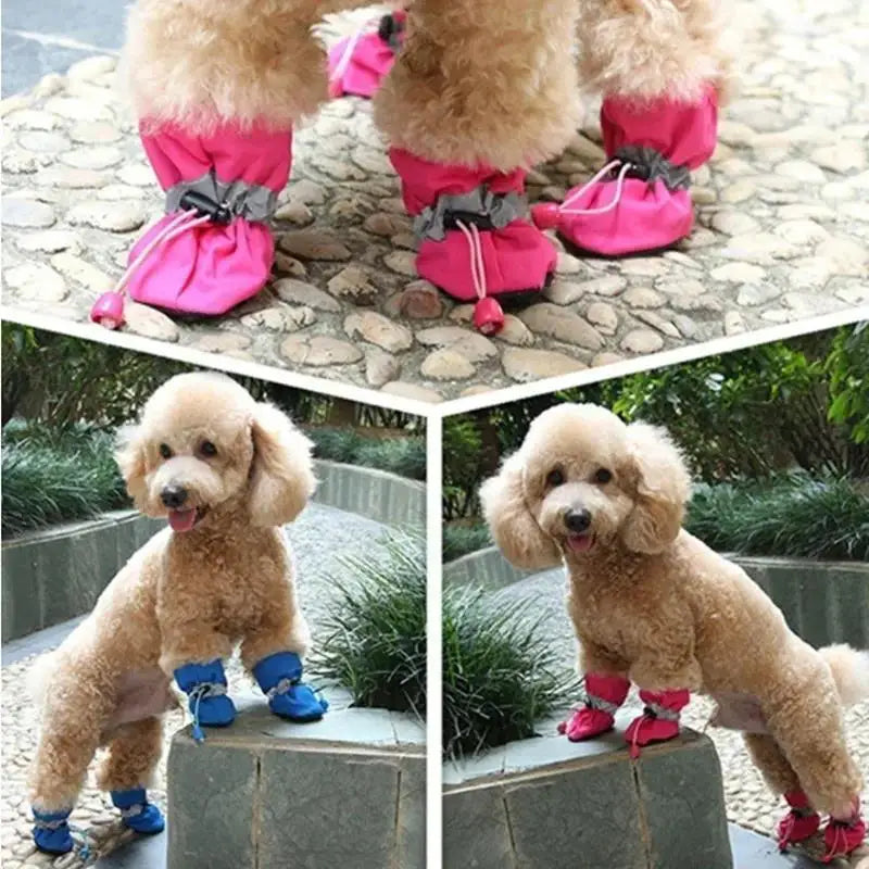 Waterproof Anti-Slip Dog Boots (Set of 4)