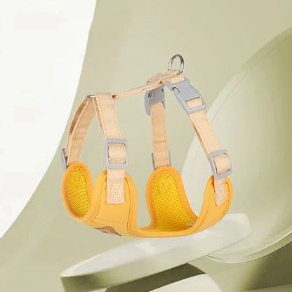 Padded Harness & Leash Set for Cats & Small Dogs