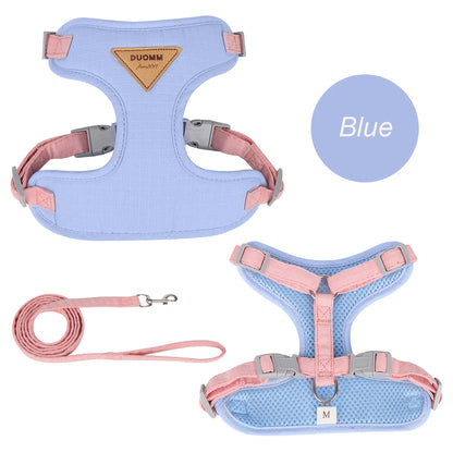 Padded Harness & Leash Set for Cats & Small Dogs