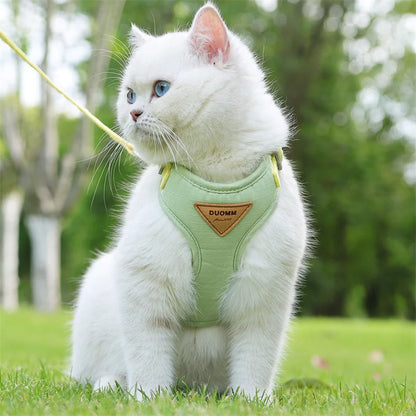 Padded Harness & Leash Set for Cats & Small Dogs