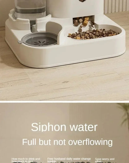 Large-Capacity Pet Feeder & Water Dispenser Set