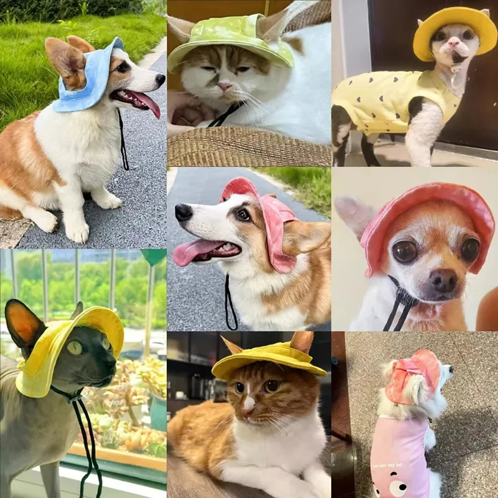 Pet Baseball Cap with Ear Holes