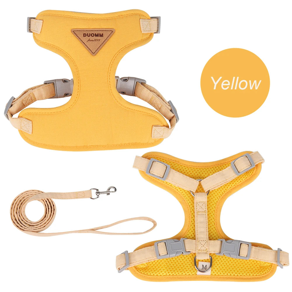 Padded Harness & Leash Set for Cats & Small Dogs