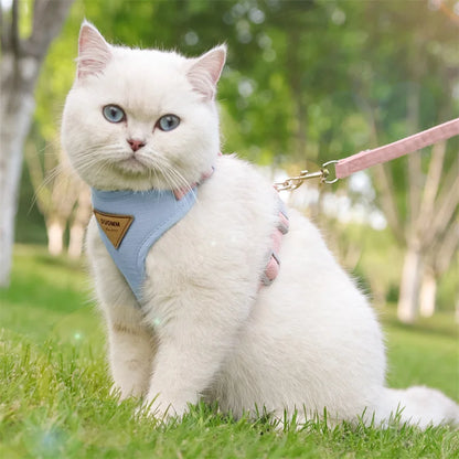 Padded Harness & Leash Set for Cats & Small Dogs