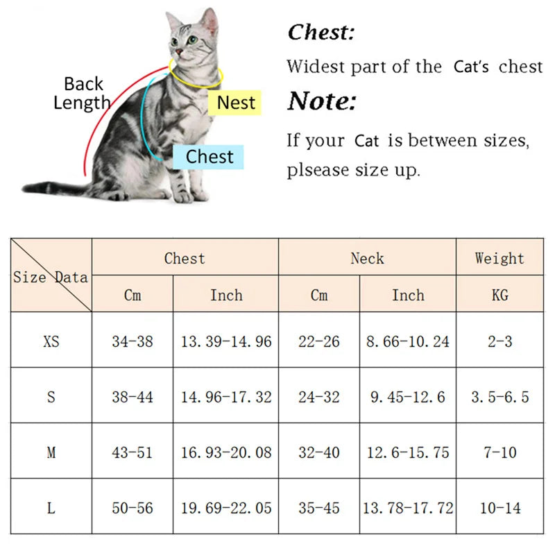 Padded Harness & Leash Set for Cats & Small Dogs