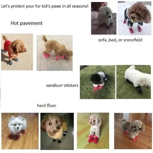 Waterproof Anti-Slip Dog Boots (Set of 4)
