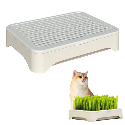 Hydroponic Cat Grass Planting Kit