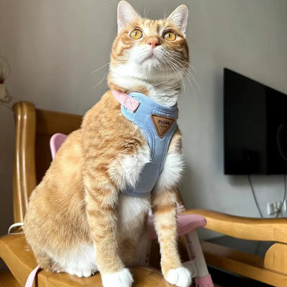 Padded Harness & Leash Set for Cats & Small Dogs