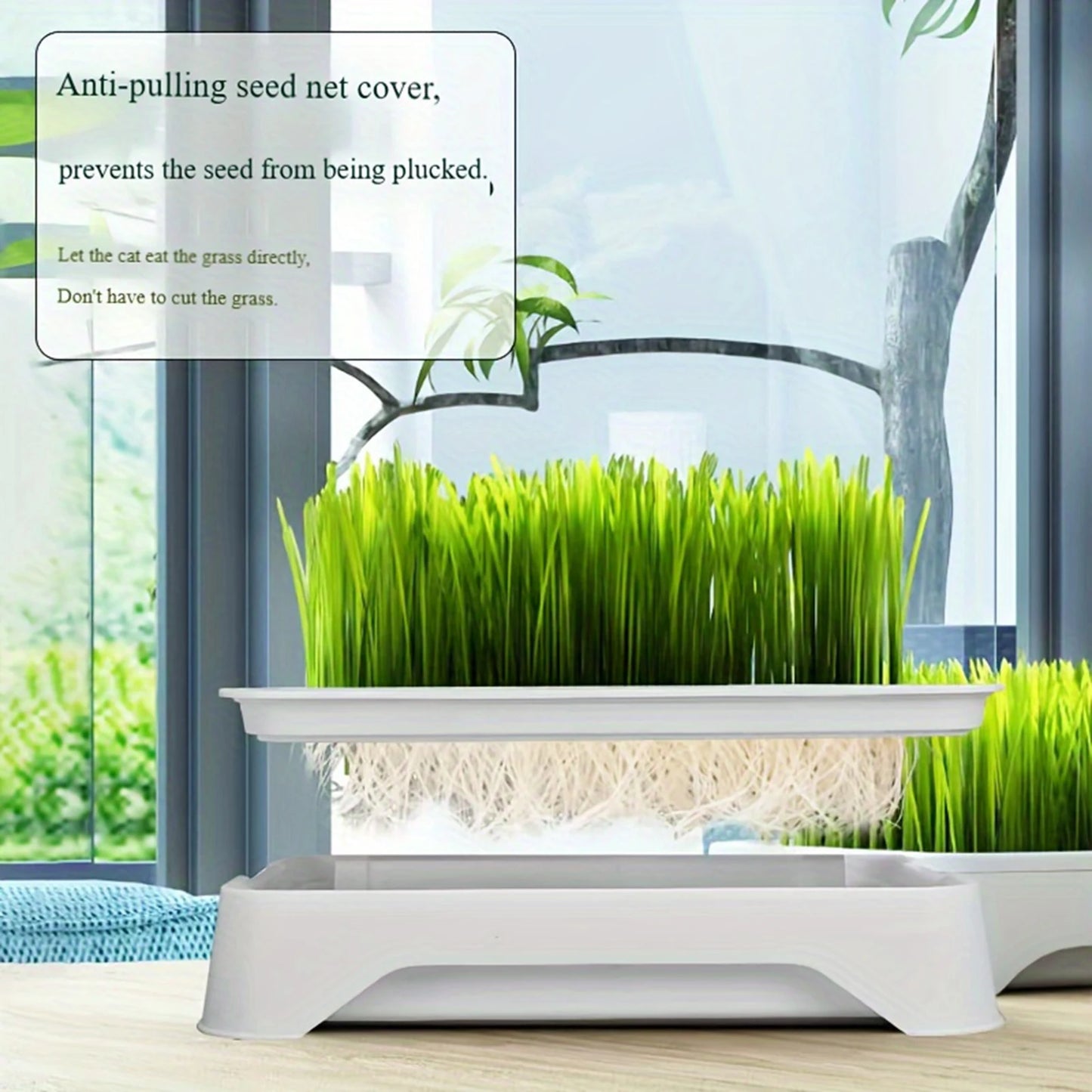 Hydroponic Cat Grass Planting Kit