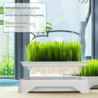 Hydroponic Cat Grass Planting Kit