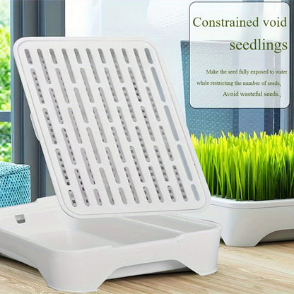 Hydroponic Cat Grass Planting Kit