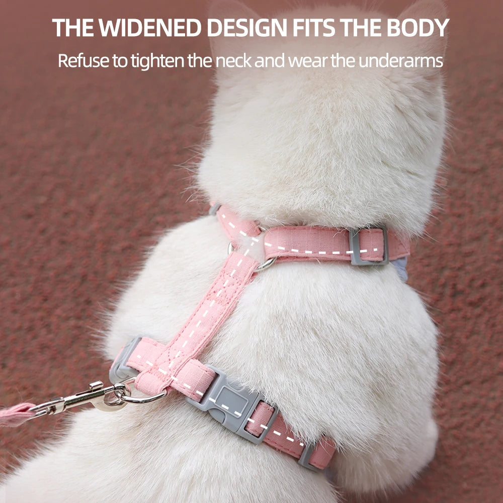 Padded Harness & Leash Set for Cats & Small Dogs