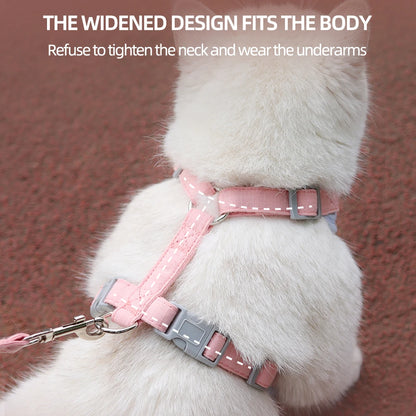 Padded Harness & Leash Set for Cats & Small Dogs