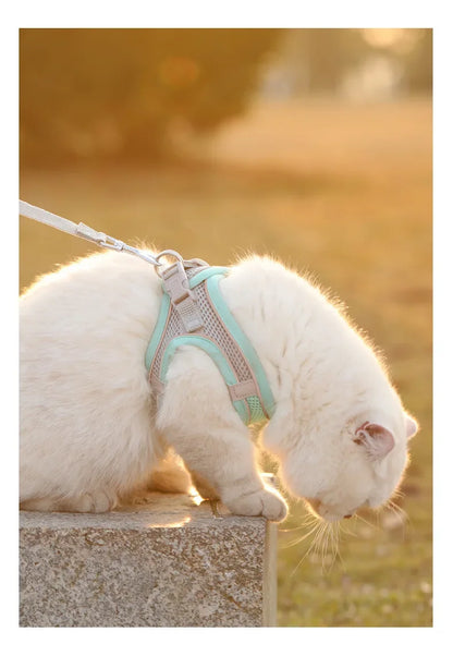 Breathable Mesh Harness Vest for Small Dogs & Cats
