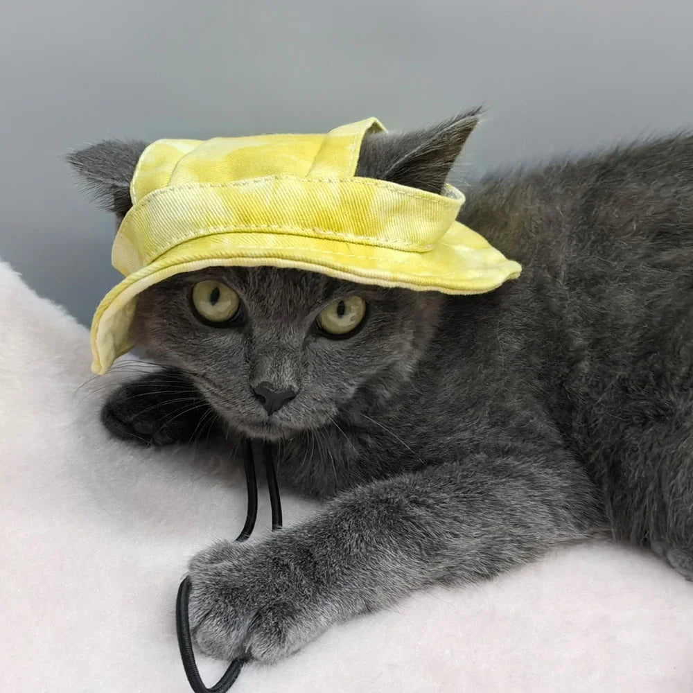 Pet Baseball Cap with Ear Holes