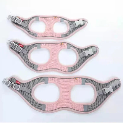 Breathable Mesh Harness Vest for Small Dogs & Cats
