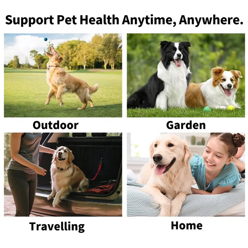Disposable Dental Finger Wipes for Dogs & Cats