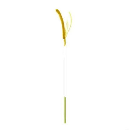 Dogtail Grass Cat Teaser Wand