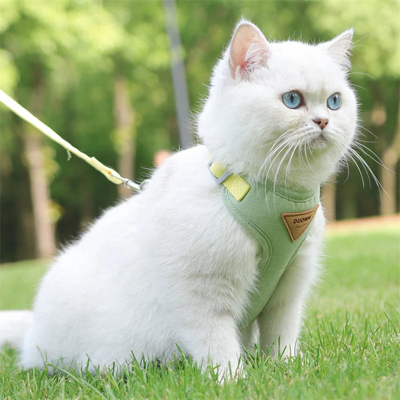 Padded Harness & Leash Set for Cats & Small Dogs