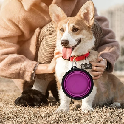 Collapsible Travel Bowl for Dogs & Cats (350ml)