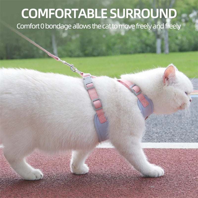Padded Harness & Leash Set for Cats & Small Dogs