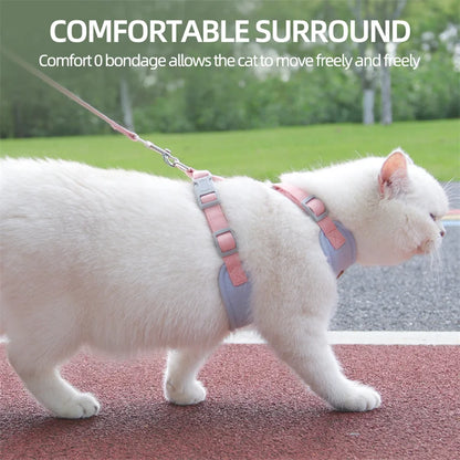 Padded Harness & Leash Set for Cats & Small Dogs