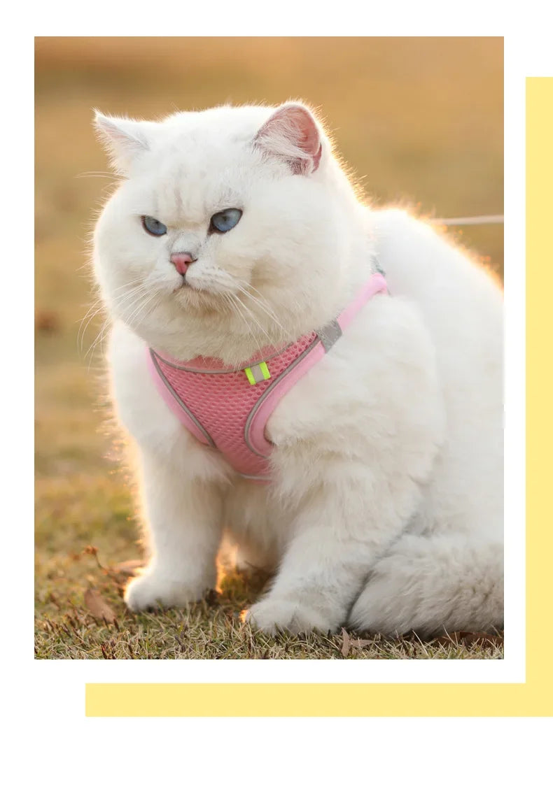 Breathable Mesh Harness Vest for Small Dogs & Cats