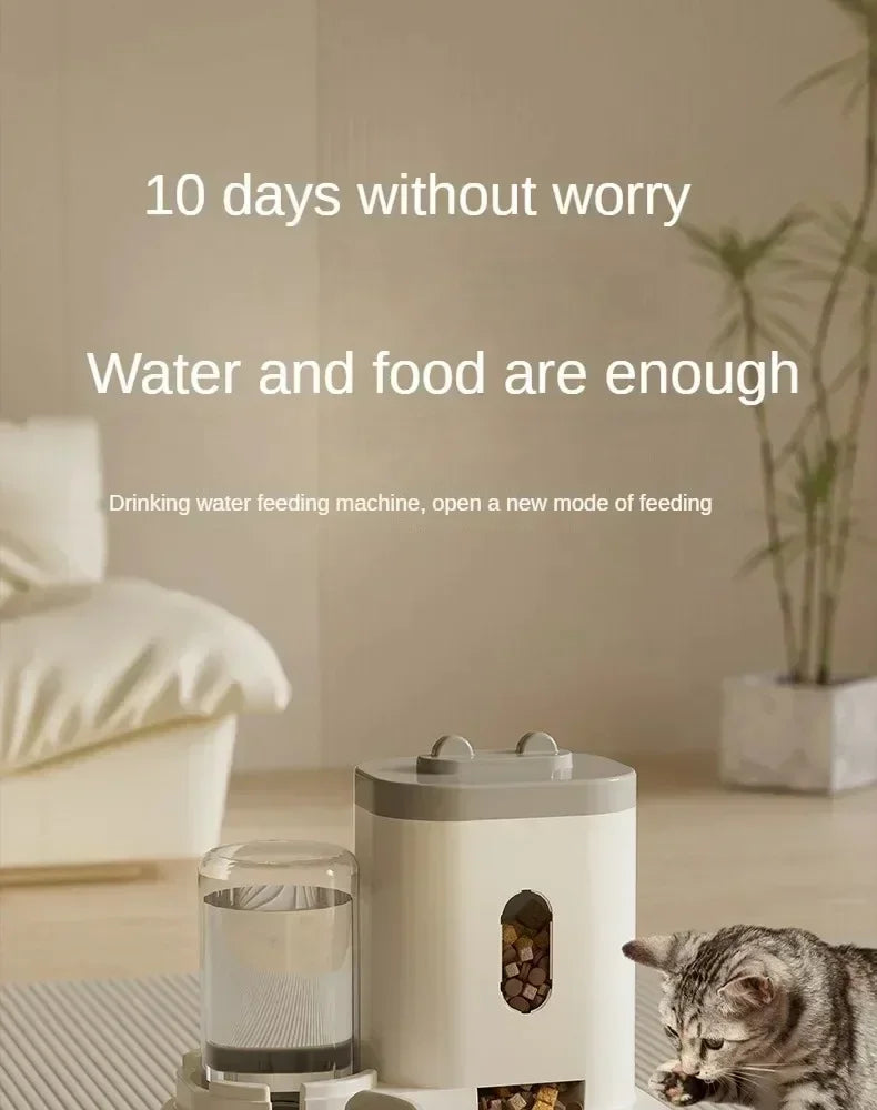 Large-Capacity Pet Feeder & Water Dispenser Set