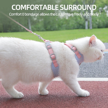 Padded Harness & Leash Set for Cats & Small Dogs