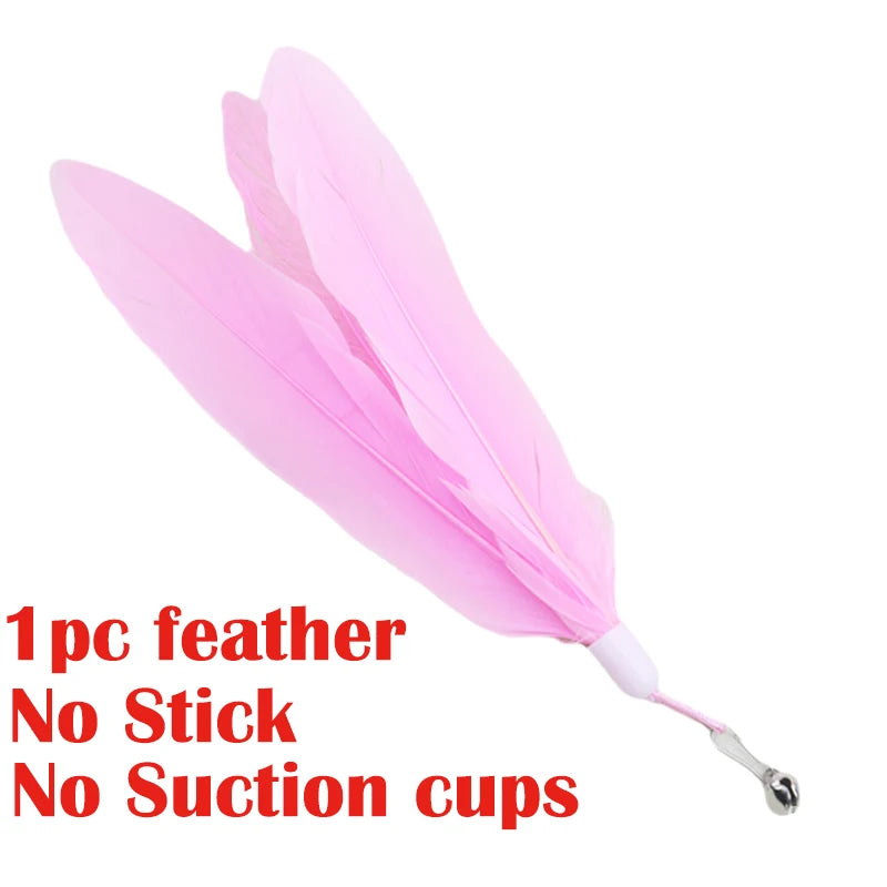 Suction Cup Feather Wand Cat Toy